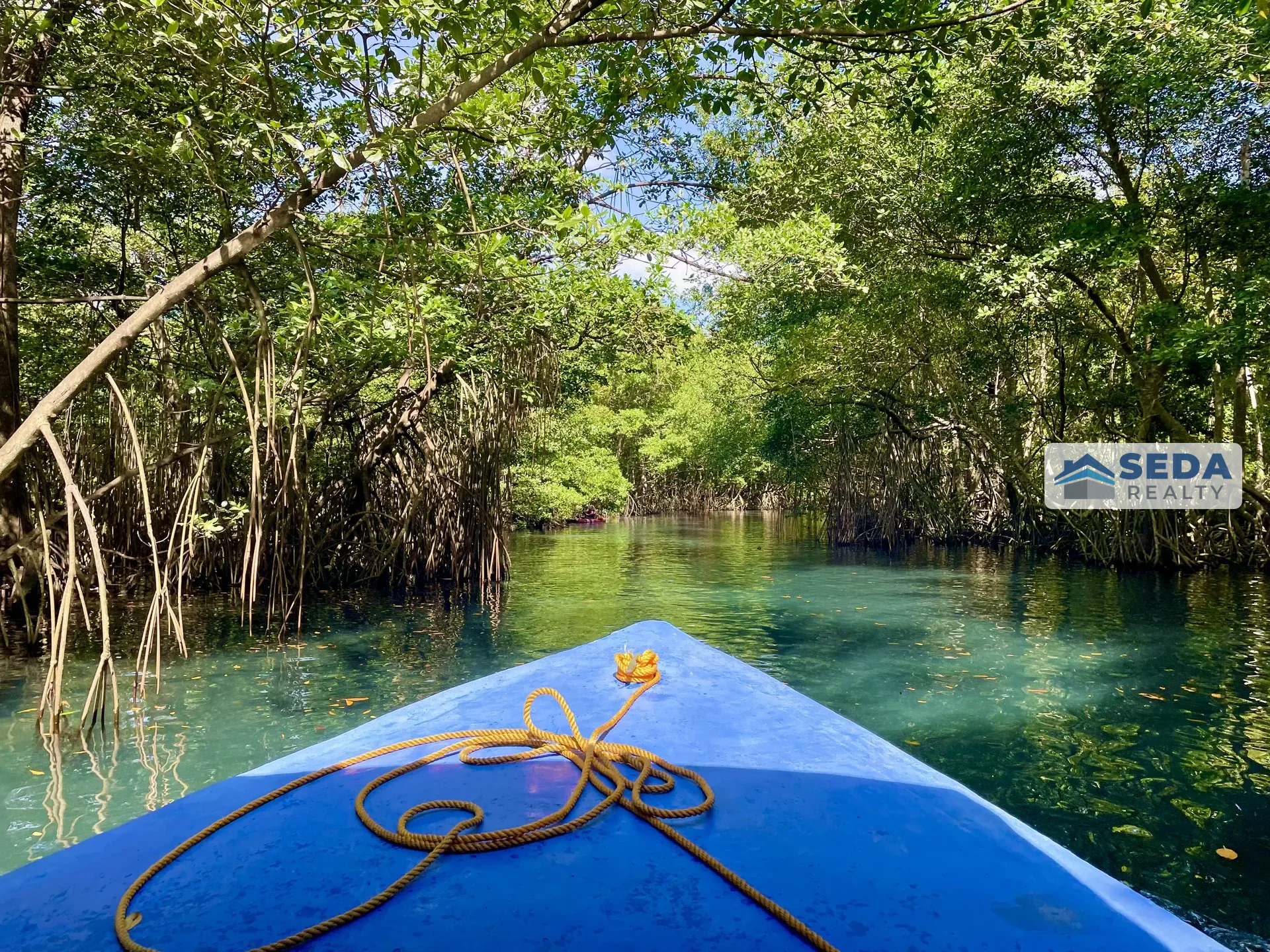 Boat ride through mangroves at Gri Gri Lagoon