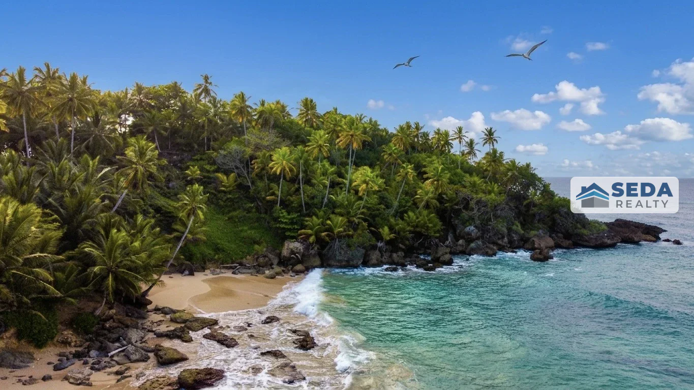 Hidden beach between cliffs and tropical vegetation on the Cabrera coastline